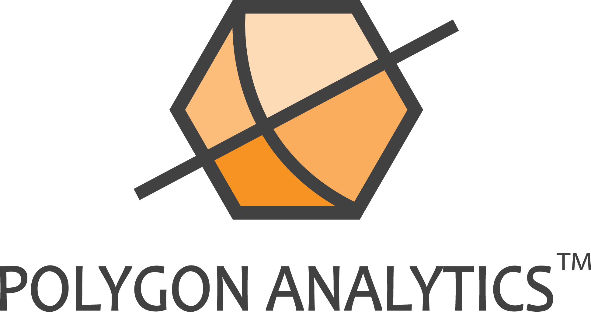 Polygon Analytics