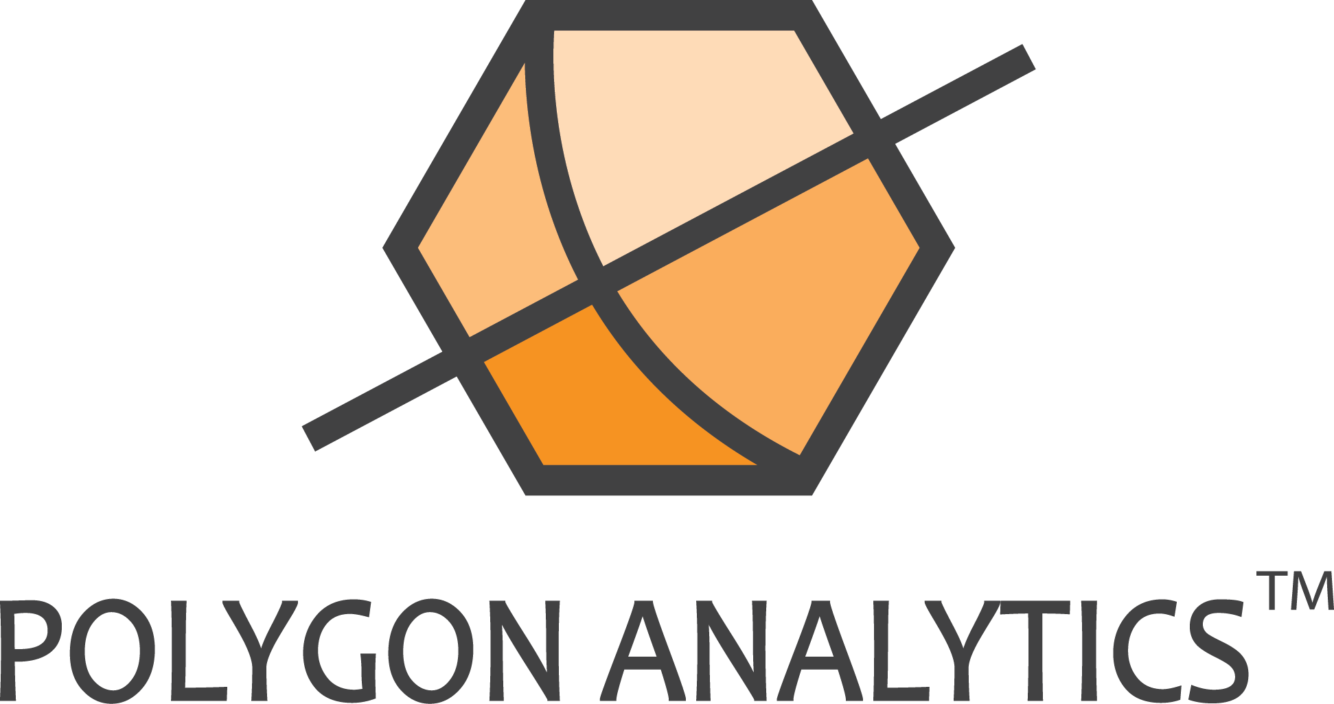 Polygon Analytics Ltd